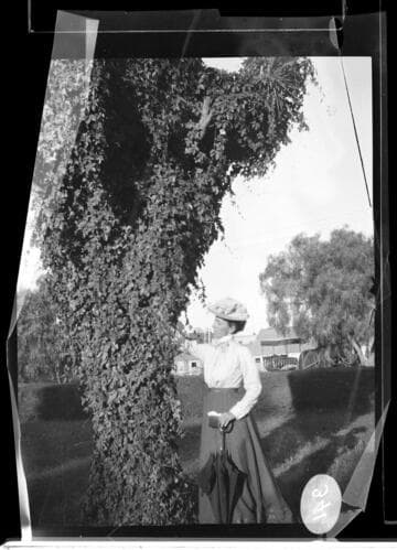 A woman standing by a large ivy covered tree in front of a row of houses