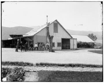 P1.1 - Group Portraits