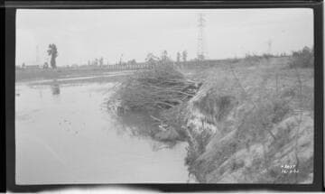 Long Beach-Lighthipe-Laguna Bell Transmission Line