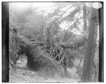 The shortest tunnel at the canal line at Mill Creek #3 Hydro Plant