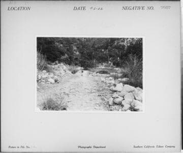 A1.4 - Natural Disasters