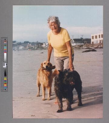 Helen Whittier Woodward