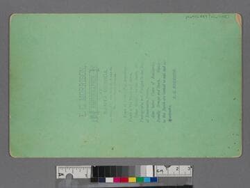 Riders on the Gravity Switchback "roller coaster" at the Arcadia Hotel, Santa Monica