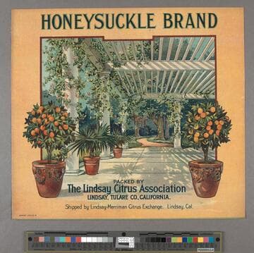 Honeysuckle brand