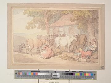 The Busy Cowherd