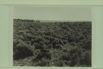 Northeast from near southern end of Fishtail Mesa. From angle No. 2 on aerial mosaic. Sent from Flagstaff Station 1962, Oct. 16; Ref. 4210