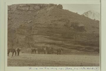 Pause on the way up the side canyon from the Escalante River. Dave Rust wears the light shirt. The party was enroute from Hole-in-the-Rock to Waterpocket Fold, 1937