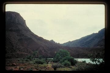 Wall of canyon from ledge near river below Moab, right bank
