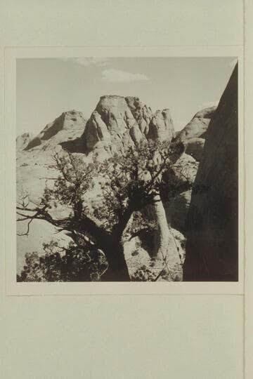 Back into middle fork of 73.6 from trail to southwest fork