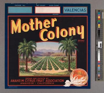 Mother colony brand