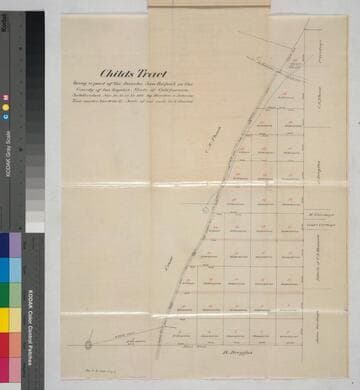 Childs Tract, being a part of the Rancho San Rafael.; Subdivided