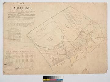 Map of the Rancho "La Ballona"