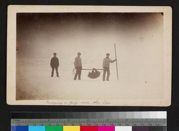 Carrying a pig over the ice