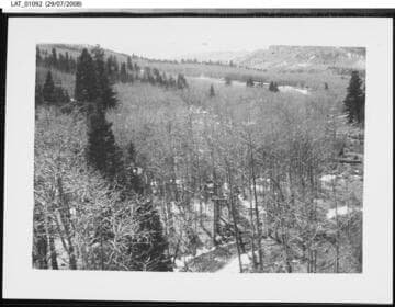 Looking up Leadro creek on Vermejo Ranch