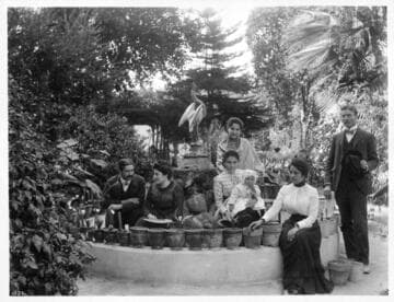 Belles of Aranguez, Mexico