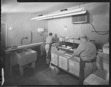 commercial egg packing facility