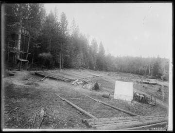 Powerpoles on ground in a cleared area of a forest