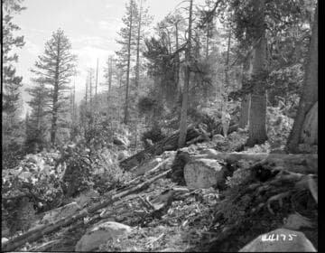 Big Creek, Vermilion Dam - East abutment