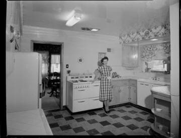 Domestic electric kitchen