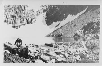 Kaweah Miscellaneous