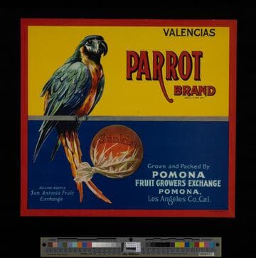 Parrot brand