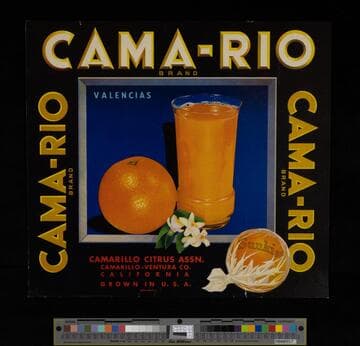 Cama-rio brand