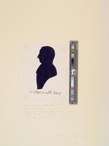 Silhouette