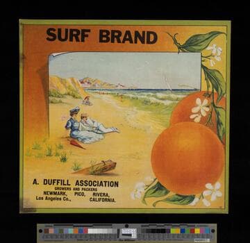 Surf brand