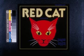 Red Cat brand
