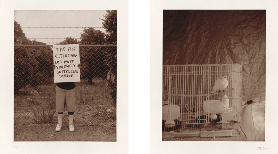 Two photos: On the left, a person holds a sign reading “The 1936 citrus war, OC’s most violently suppressed strike.” On the right is a cage with white doves.