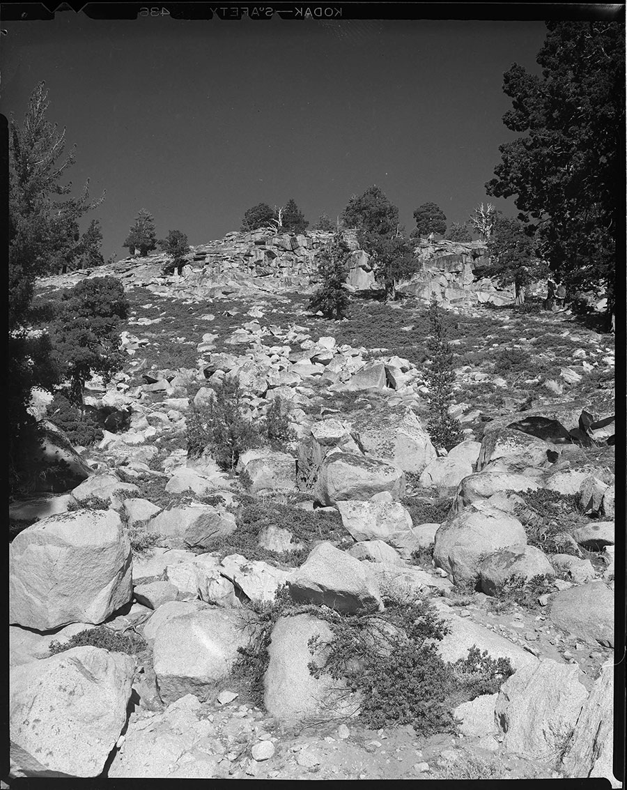 Black-and-white photo from below of a mountain full of boulders and trees.