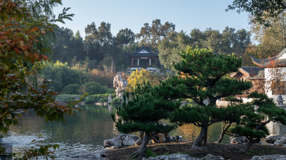 Chinese garden morning. chinese-garden photographed to capture the early morning dew.