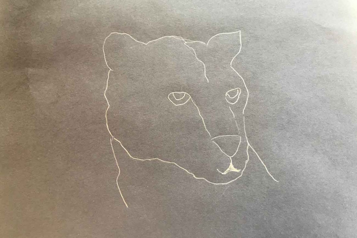 Outline drawing of a cougar