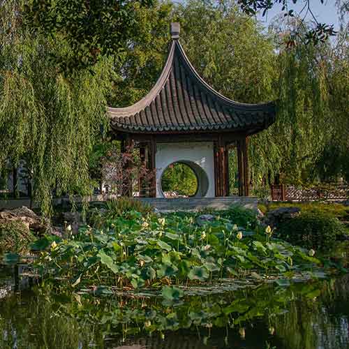 Pavilion in the Chinese Garden