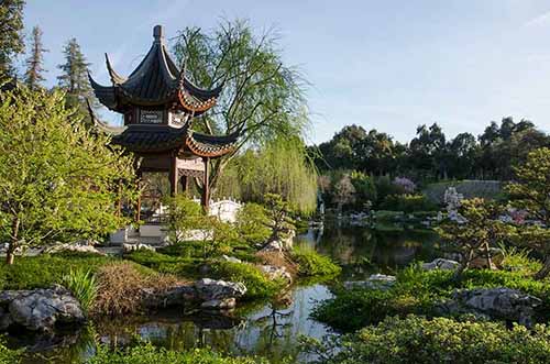 Chinese Garden