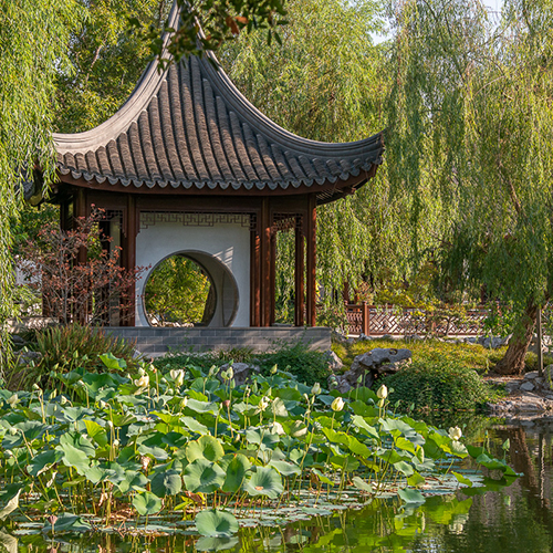 Image of Chinese Garden