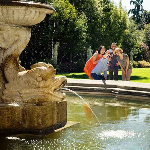 Group of friends taking pictures in the garden