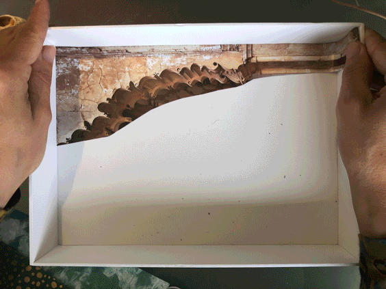 Gif of making a collage
