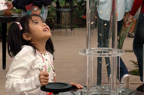 Girl looking at dispersing seeds