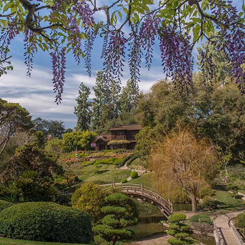 Japanese Garden