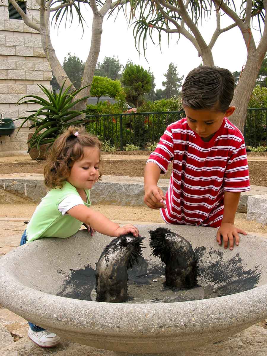 The attraction of magnetic sand is irresistible in the Helen and Peter Bing Children’s Garden. The Huntington Library, Art Museum, and Botanical Gardens.