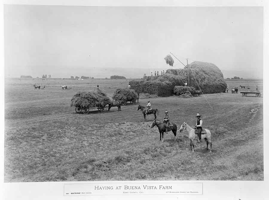 Carleton Watkins, Haying at Buena Vista Farm, ca. 1886–89. The Huntington Library, Art Collections, and Botanical Gardens.