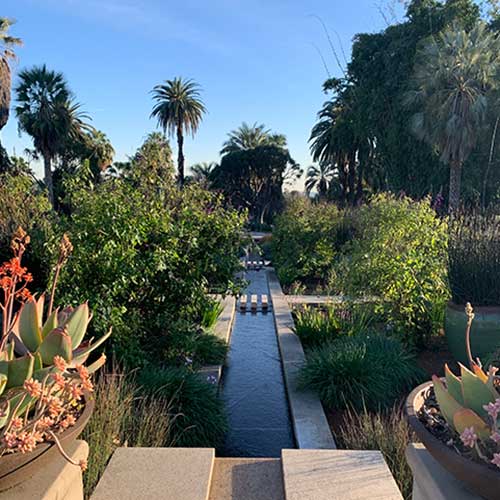 Image of Chinese Garden