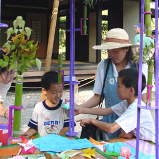 Japanese Discovery Cart
