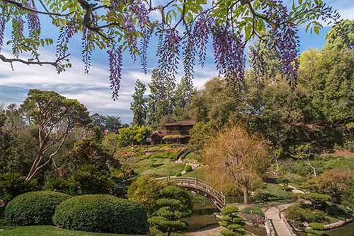 Japanese Garden