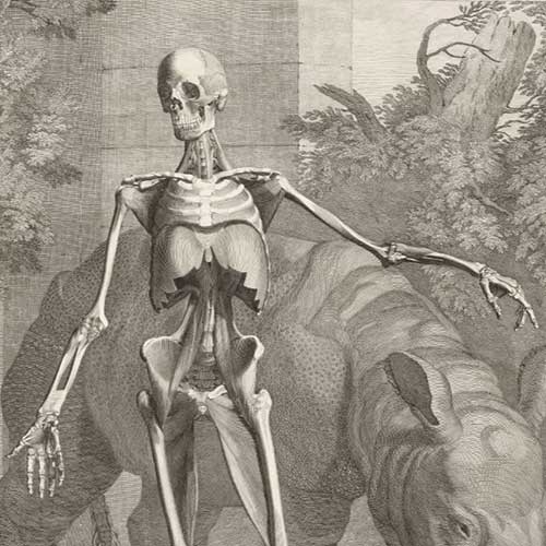 18th-century medical atlas
