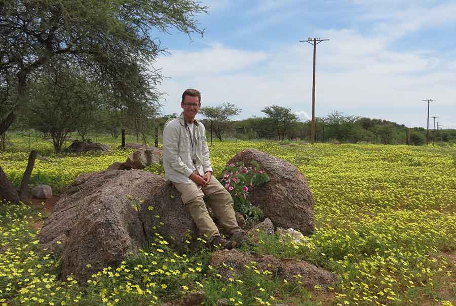 Heavy rain on Cody Howard’s return trip to Namibia rewarded him with a sea of Tribulus flowers near Kamanjab. Moist conditions made it much easier to find Ledebouria bulbs. Photograph by Leevi Nanyeni. Heavy rain on Cody Howard’s return trip to Namibia rewarded him with a sea of Tribulus flowers near Kamanjab. Moist conditions made it much easier to find Ledebouria bulbs. Photograph by Leevi Nanyeni.