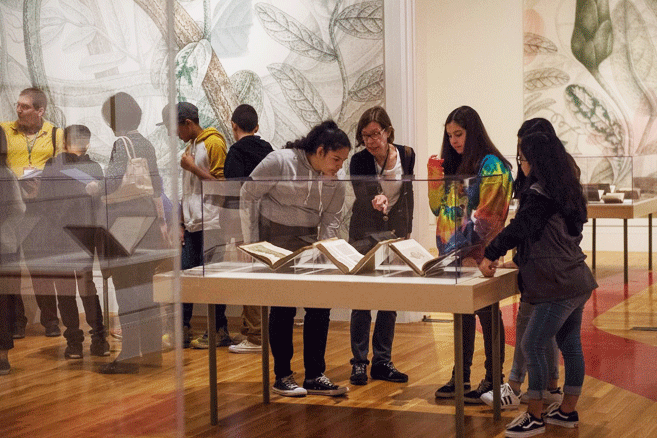 students in a gallery
