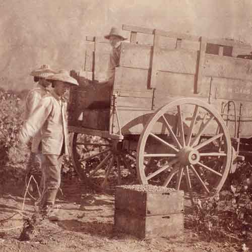 Photo of Chinese workers