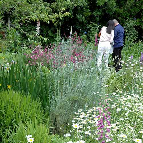 Couple in Shakespeare Garden